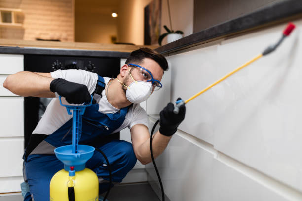 Best Exterminator Services  in Trowbridge Park, MI